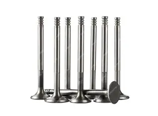Engine Valve