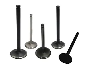 Engine Valve - 4